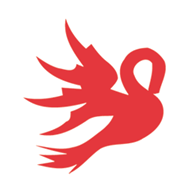 healthylittlefeet.org