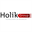 holikgroup.com