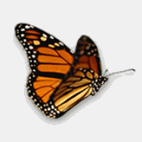 brattoninsurancecompany.com