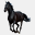 e-horse.pl