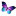 organizedaging.com