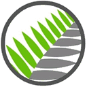 silverfernsoft.com
