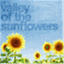 valleyofthesunflowers.wordpress.com