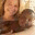 jessicamaureen.wordpress.com