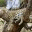 hambalapaside.wordpress.com