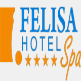 hotelfelisa.com