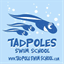 tadpoleswimschool.com