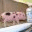 pkhawkonpotbellypigs.wordpress.com