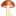 fungusamongus.com