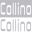 estudiocollino.com