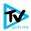 cuidatv.gob.mx