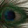 authenticpresence.net