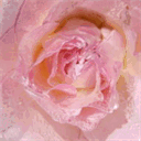 chqlr.com