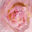 chqlr.com