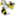 dastgbforum.de