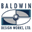 baldwindesignworks.com
