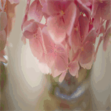 loiclegrosphotographe.com