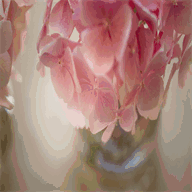 loiclegrosphotographe.com