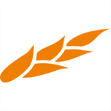 chunzhujiu.com