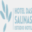 hoteldassalinas.com