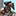 lafeteducheval.com