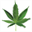 marijuanabusinessseminars.com