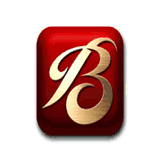 bloomenvironmental.com