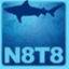 n8t8.com