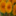 juttasflowers.com