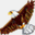 nizoral-eagles-sparrow.weebly.com