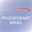 pflegedienst-brueel.de