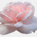 marielakruse.com