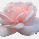 marielakruse.com