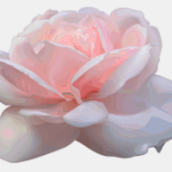 marielakruse.com