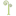 seedlingslearning.com