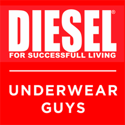 dieselwebhosting.com