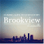 thebrookview.com