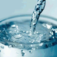 divingbusinessesforsale.com