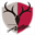 pohle-onkoconsult.de