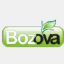 bozovagida.com