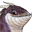 dragoninmygarage.evolvedtowonder.com
