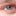 schaustiehler.de