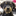 findingpepper.com