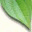 herbasehatalami.wordpress.com