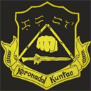 ashevillekungfu.com