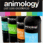 animology.wordpress.com