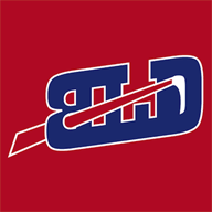 bulletproofsteering.com