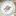 dailycompass.org