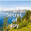 secretofjoy.com