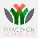 piplan.org